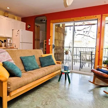 Barton Hills Condo